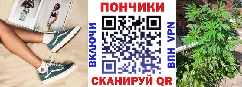 где можно купить   Верея  Каннабис VHQ 
